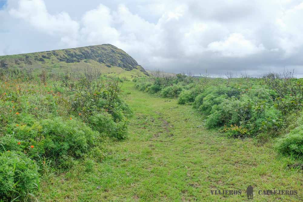 Aquí comienza Te Ara O Te Moai Camino de los moáis