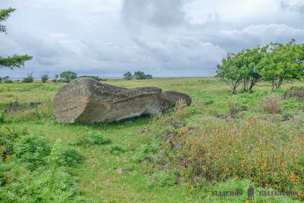 Aquí comienza Te Ara O Te Moai Camino de los moáis