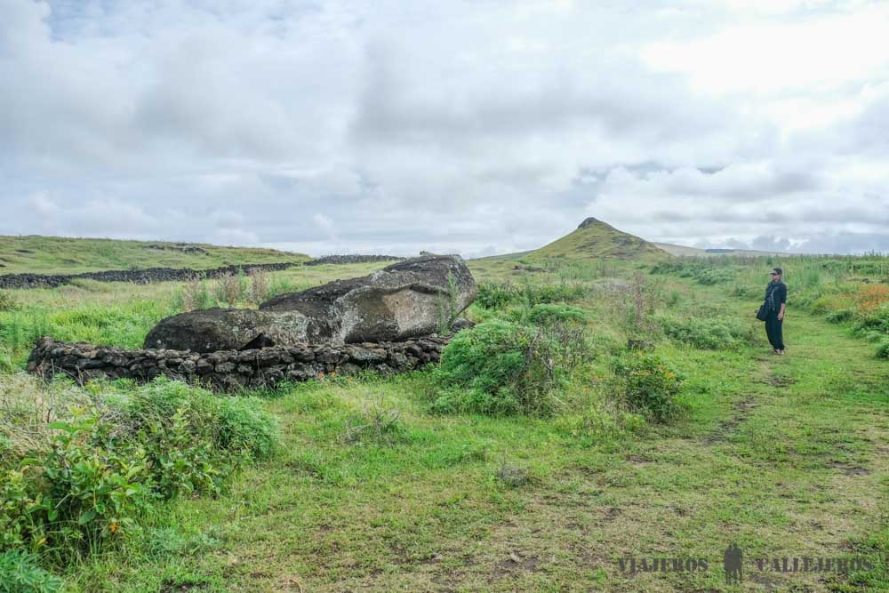 Aquí comienza Te Ara O Te Moai Camino de los moáis