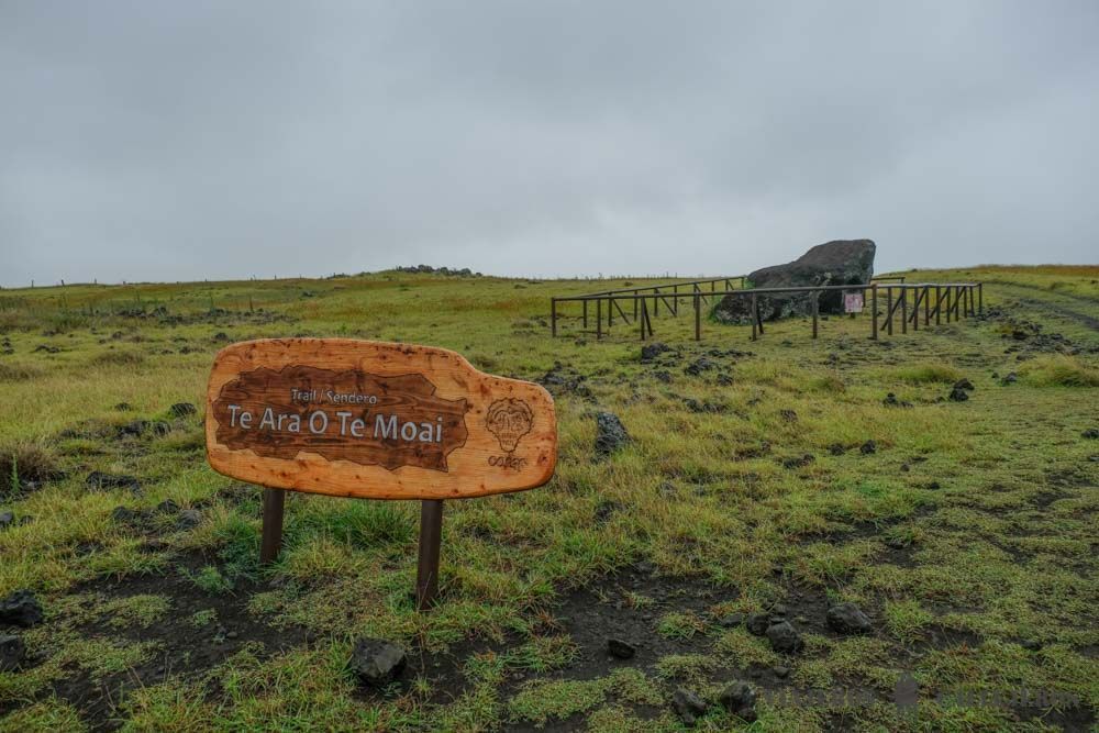 Te Ara O Te Moai