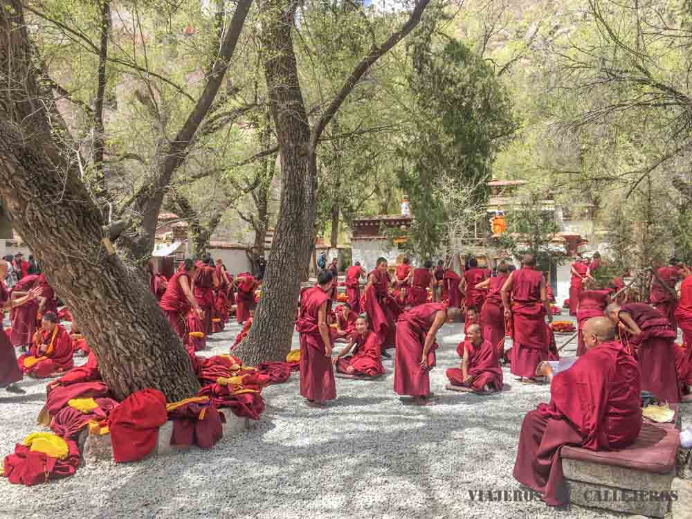 Debate monjes. Monasterio Sera en Tíbet