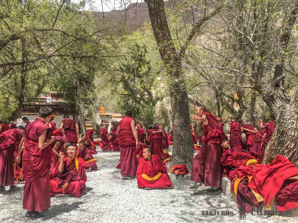 Debate monjes. Monasterio Sera en Tíbet