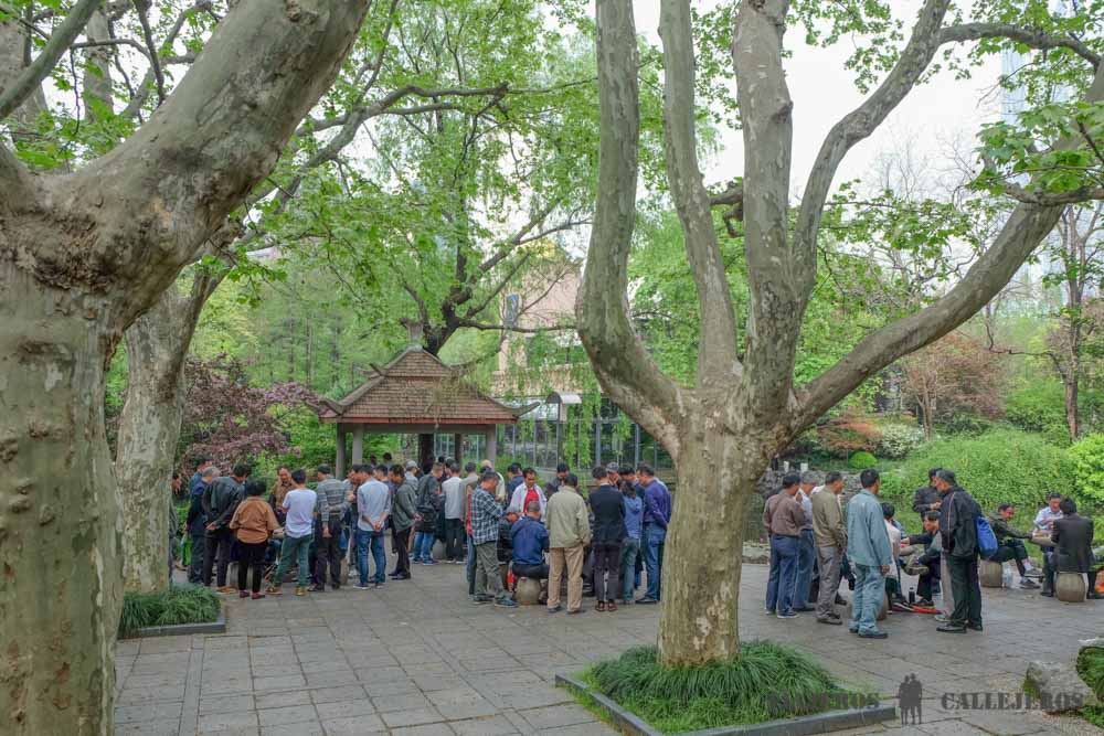 People´s Square