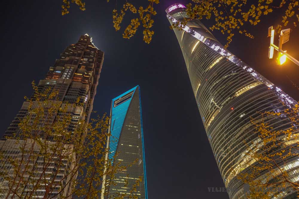 Cae la noche en Shanghái