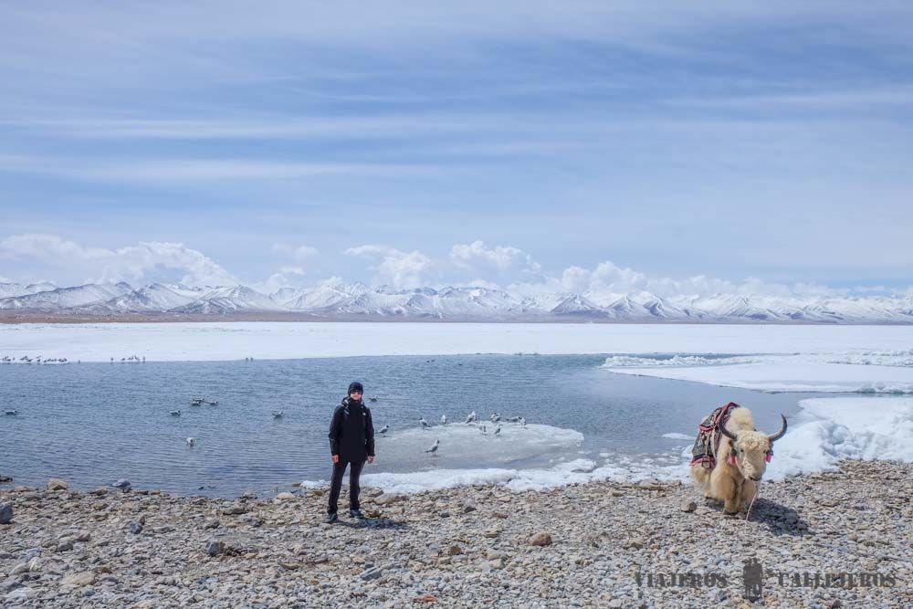 Lago Namtso en Tíbet