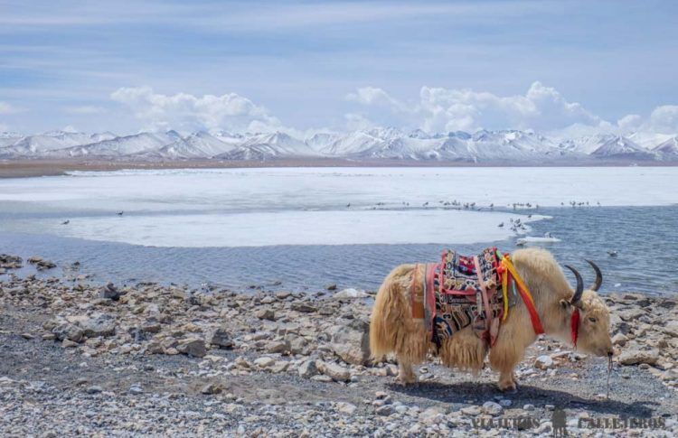 Lago Namtso en Tíbet