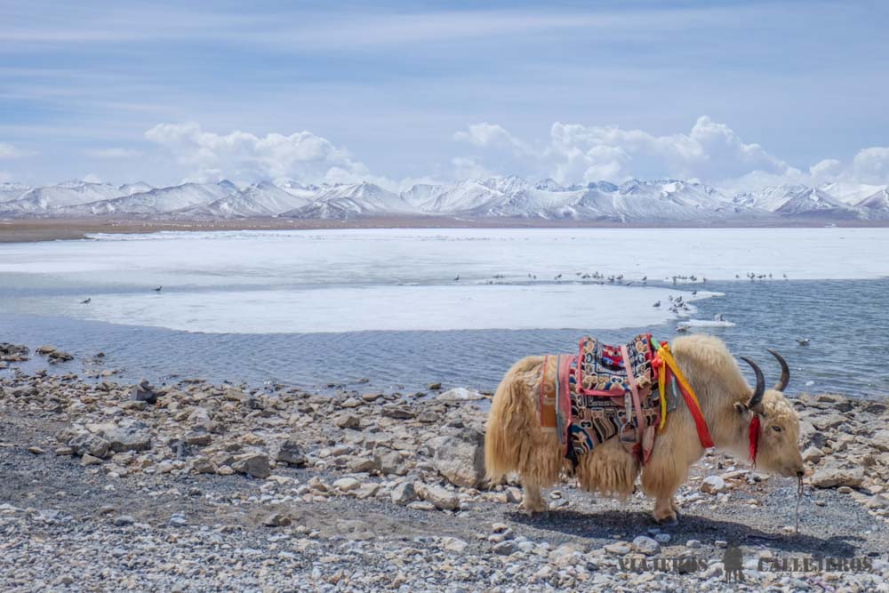 Lago Namtso en Tíbet
