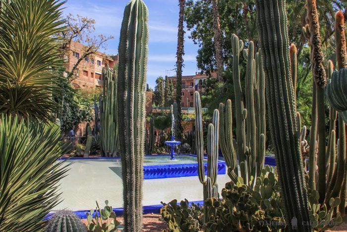 Jardines Majorelle