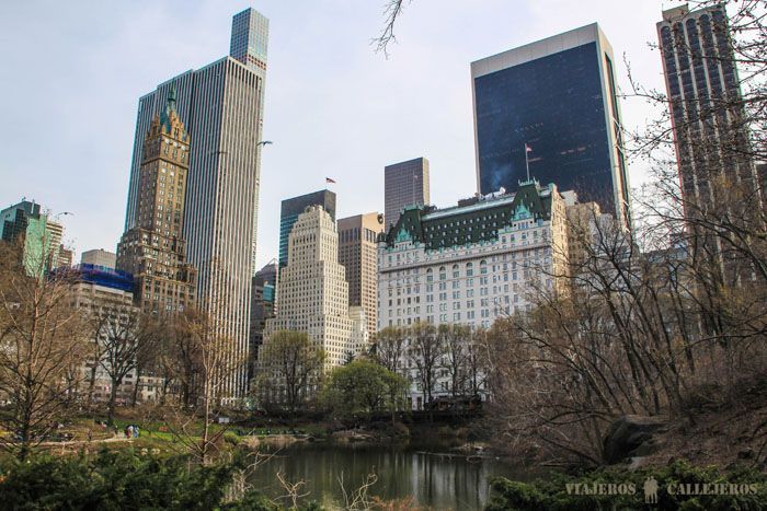 The Pound en Central Park