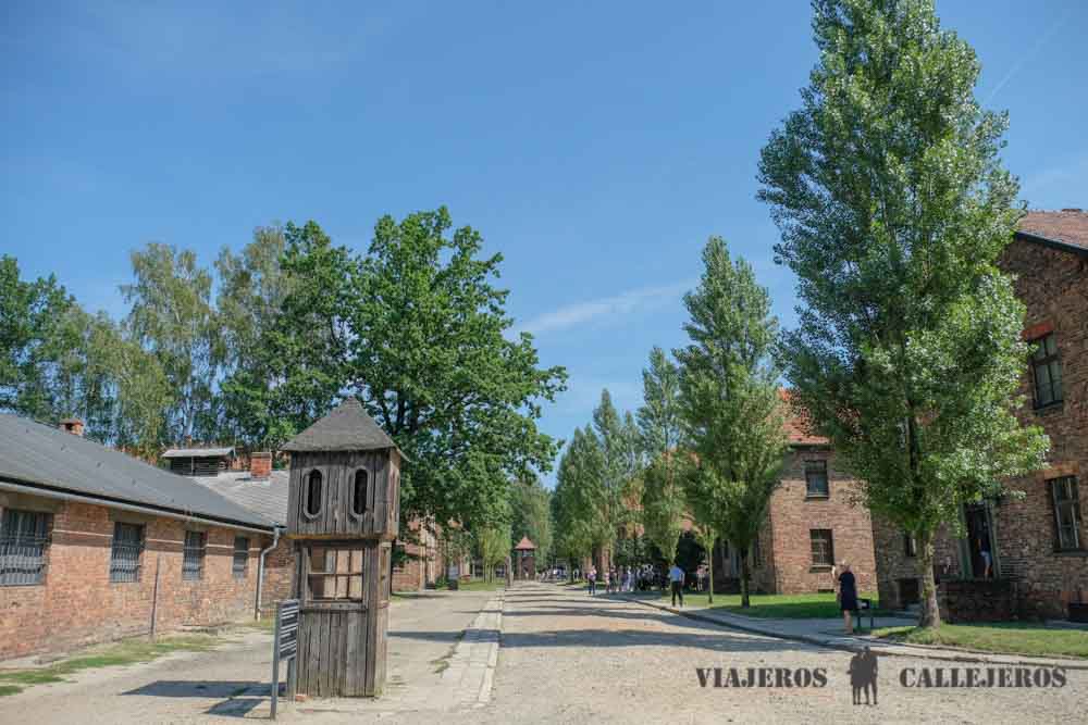 Tour para visitar Auschwitz desde Cracovia