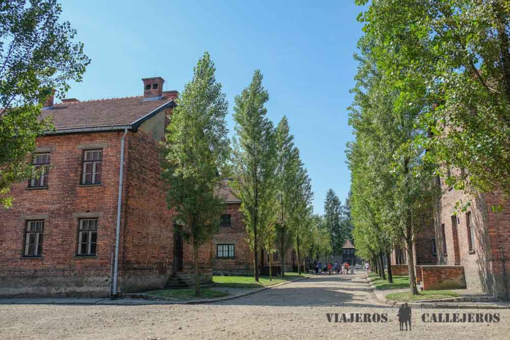 Visitar Auschwitz desde Cracovia