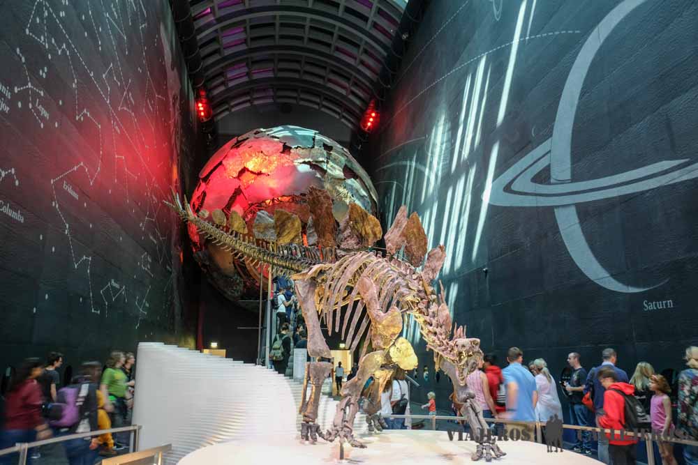 Entrada Museo de Historia Natural