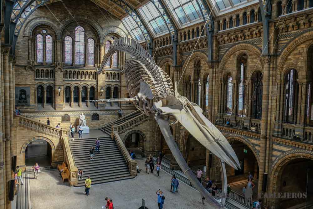Museo de Historia Natural