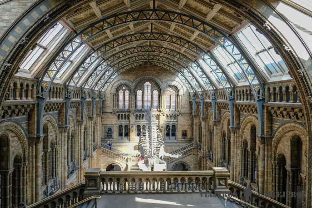 Museo de Historia Natural