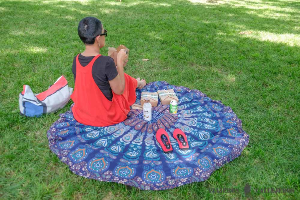 Picnic en Central Park