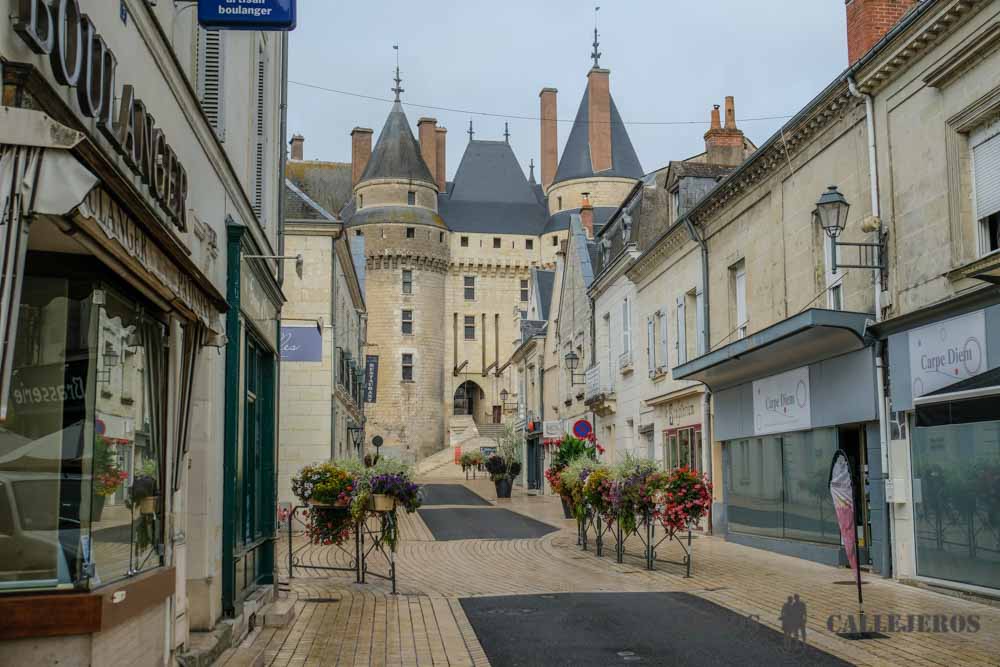 Vistas del Castillo de Langeais