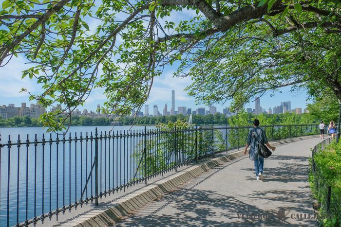 Jacqueline Kennedy Onassis Reservoir