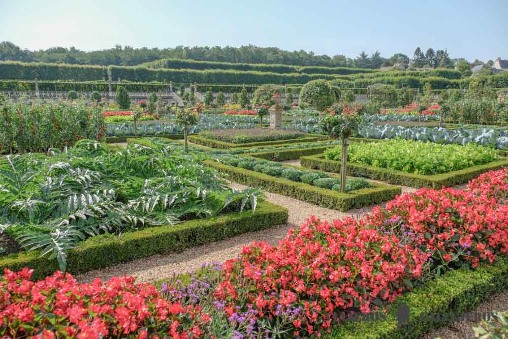 Jardines del Castillo de Villandry
