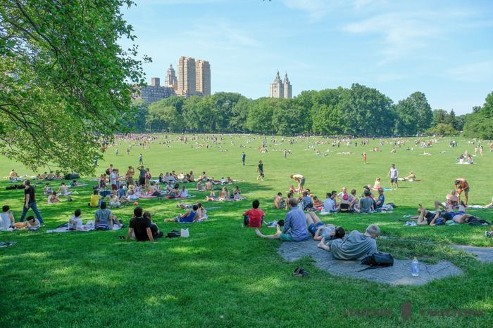 Sheep Meadow