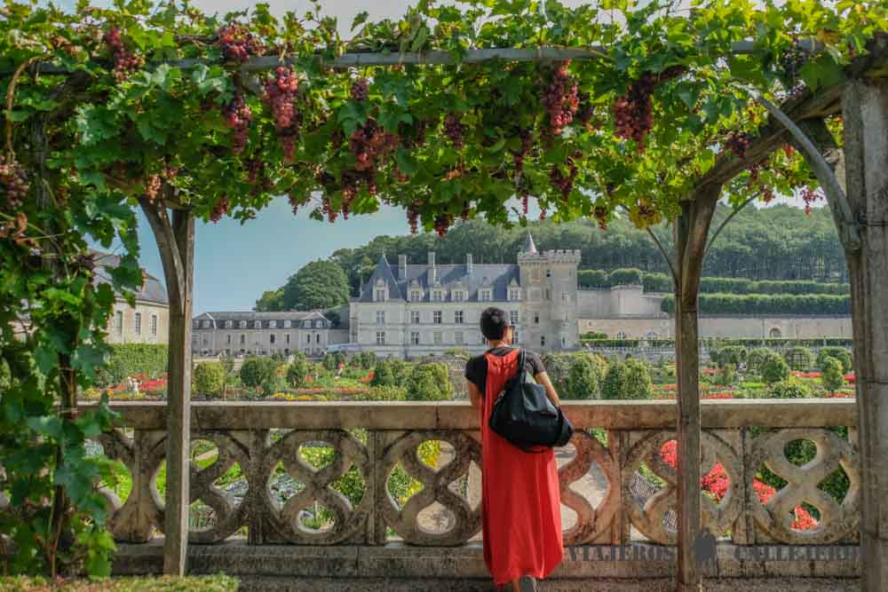 Jardín de los Simples. Castillo de Villandry