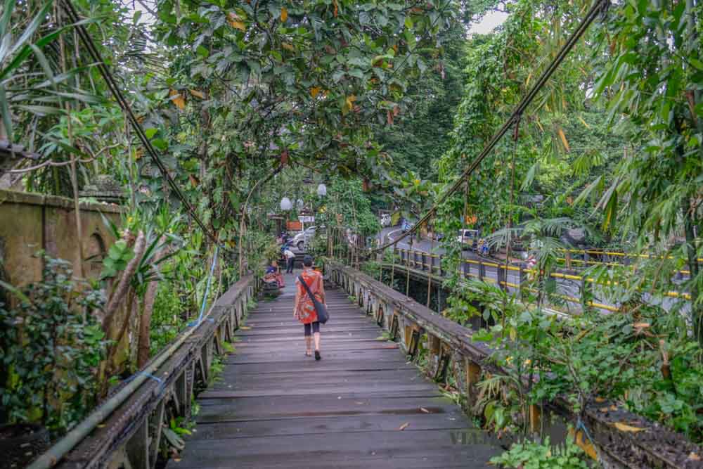 Bridges. Ubud