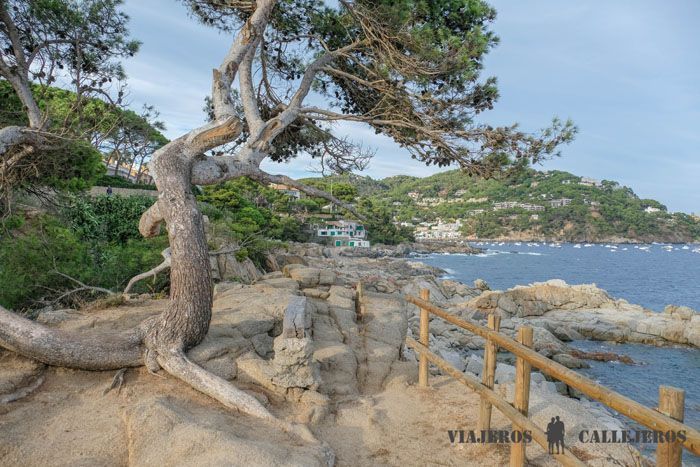 Camino de ronda de Calella de Palafrugell a LLafranc