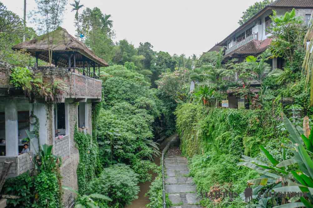 Vistas desde las escaleras del Warung River View