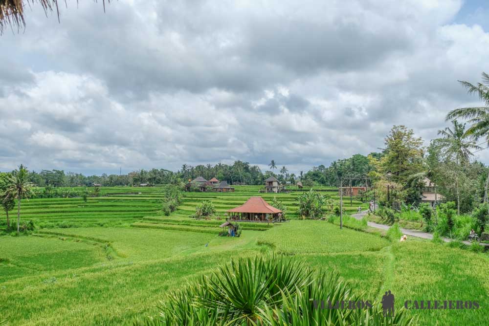 Vistas Karsa Café