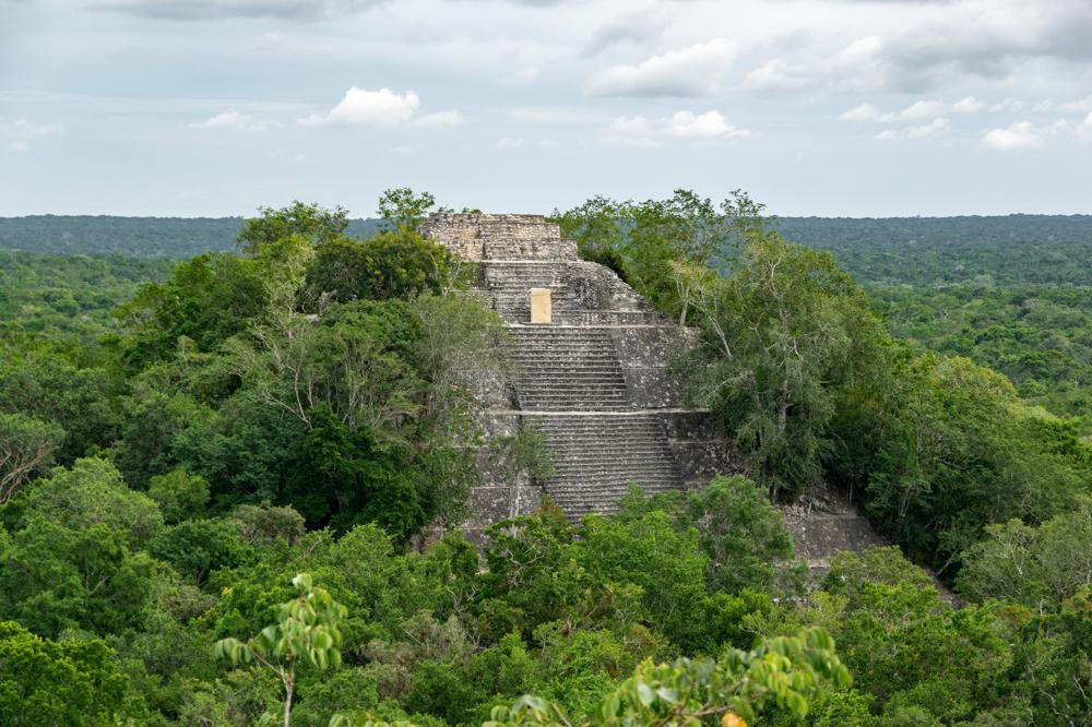 Calakmul. Crédito Paolo Lucciola