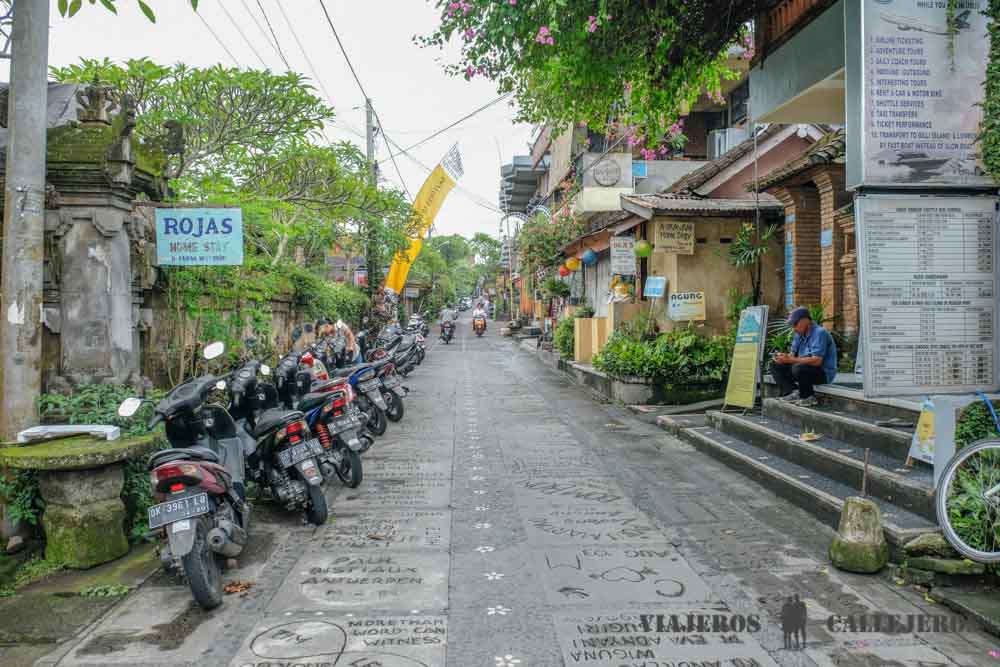 Inicio de la ruta por los arrozales de Ubud