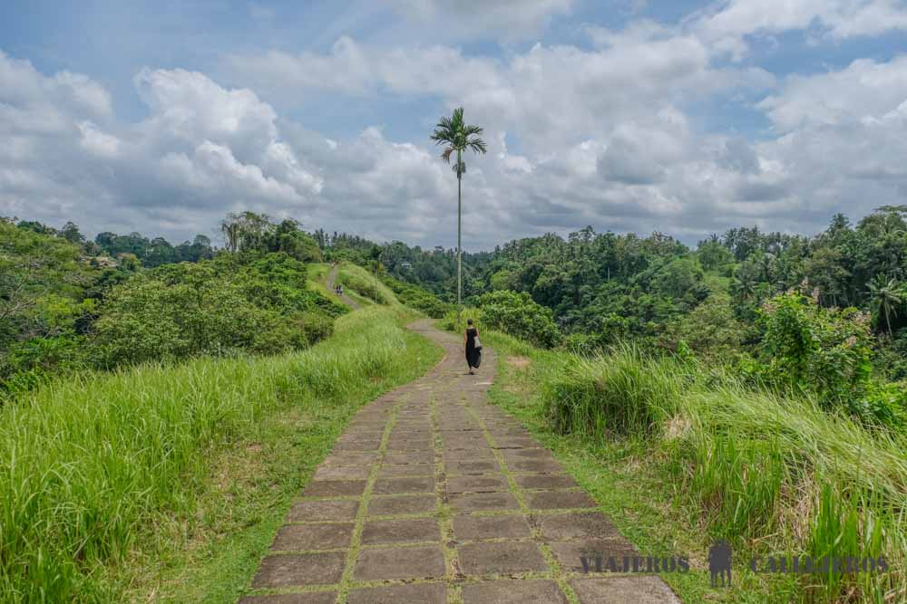 Recorrer Campuhan Rige Walk, otra de las mejores cosas que hacer en Ubud