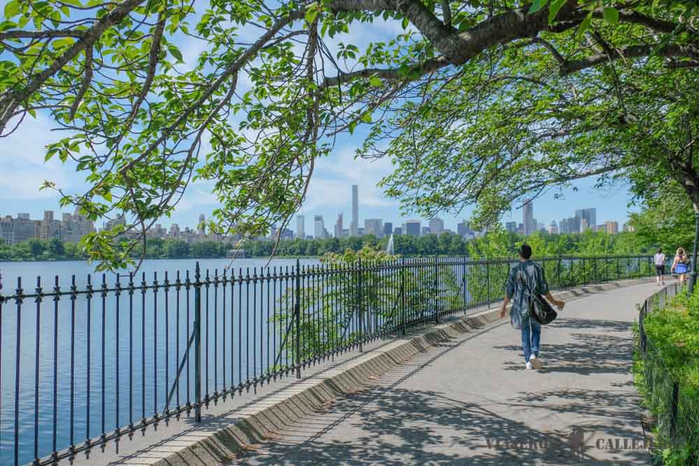 Central Park. New York Pass