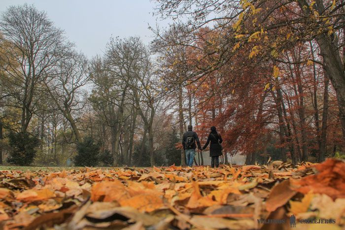 Englischer Garten