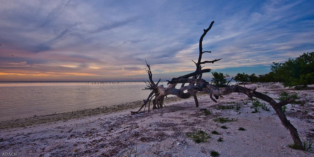 Holbox. Crédito Christopher William Adach