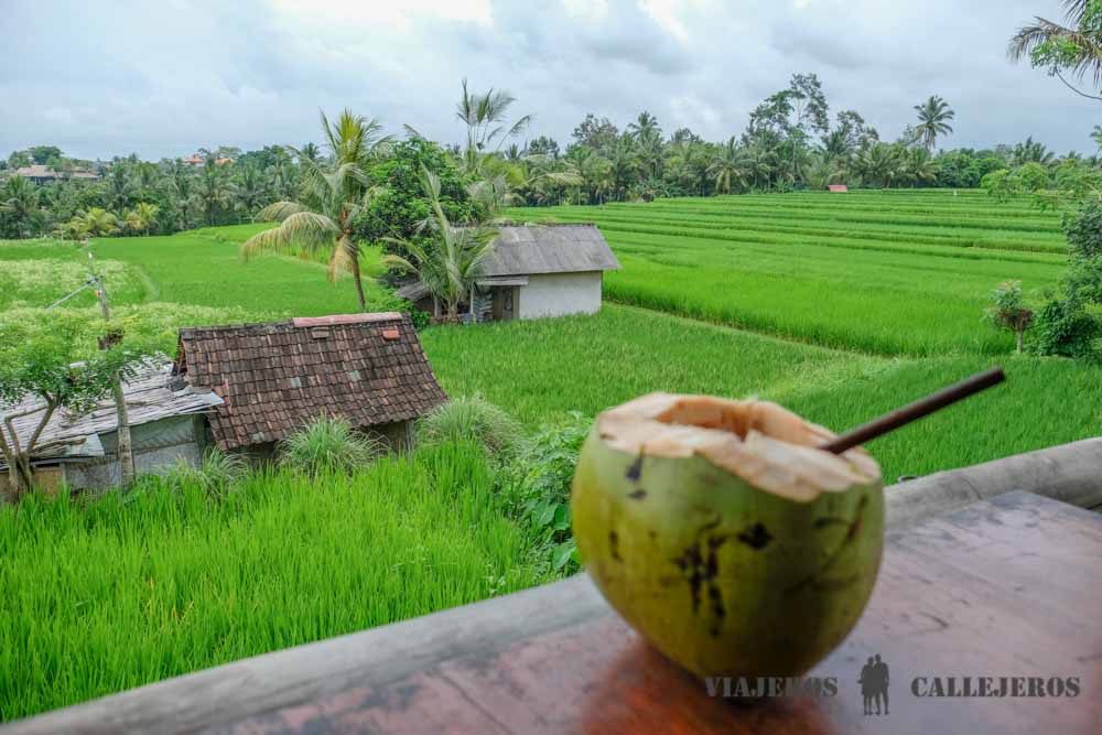 Sari Organic