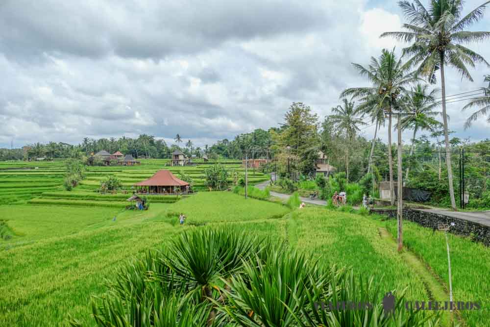Vistas desde Karsa Café