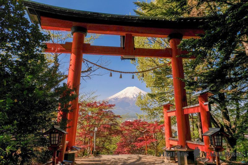 Japón