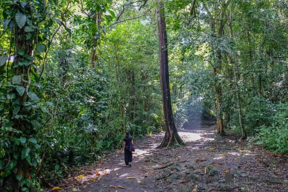 Sendero principal Yaxchilán