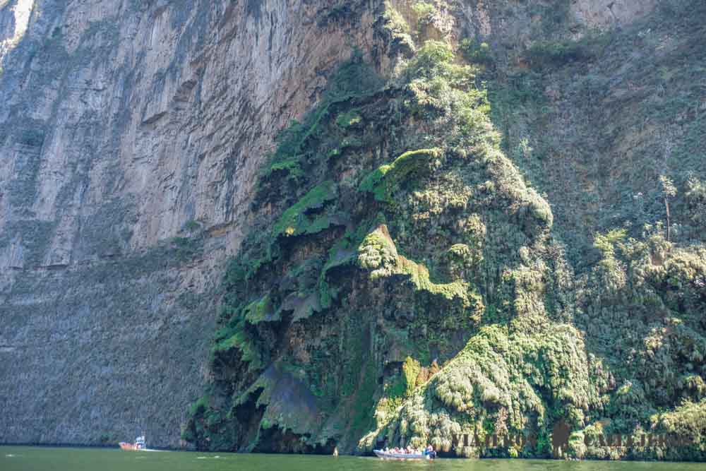 Árbol de Navidad en el Cañón del Sumidero