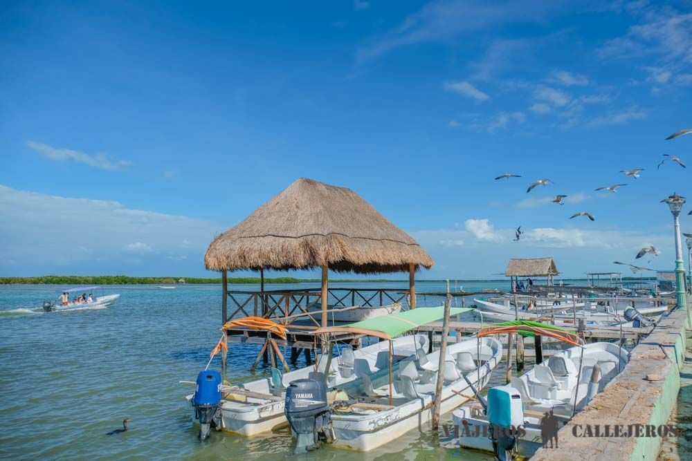 Tour Río Lagartos Yucatán