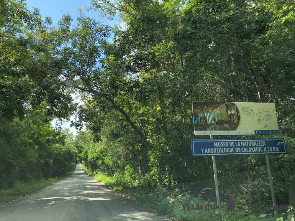Carretera de acceso al Recinto Arqueológico de Calakmul