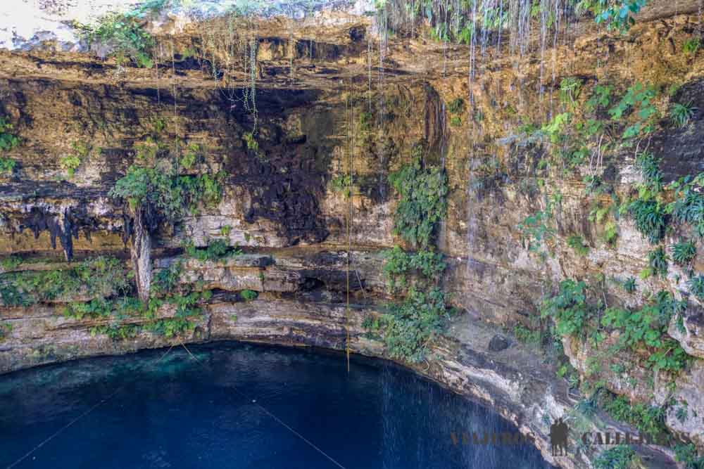 Cenote Selva Maya