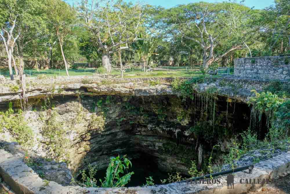 Cenote Selva Maya