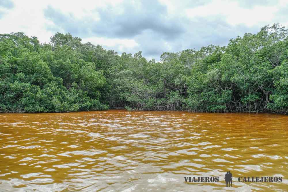 Tour Río Lagartos en Yucatán