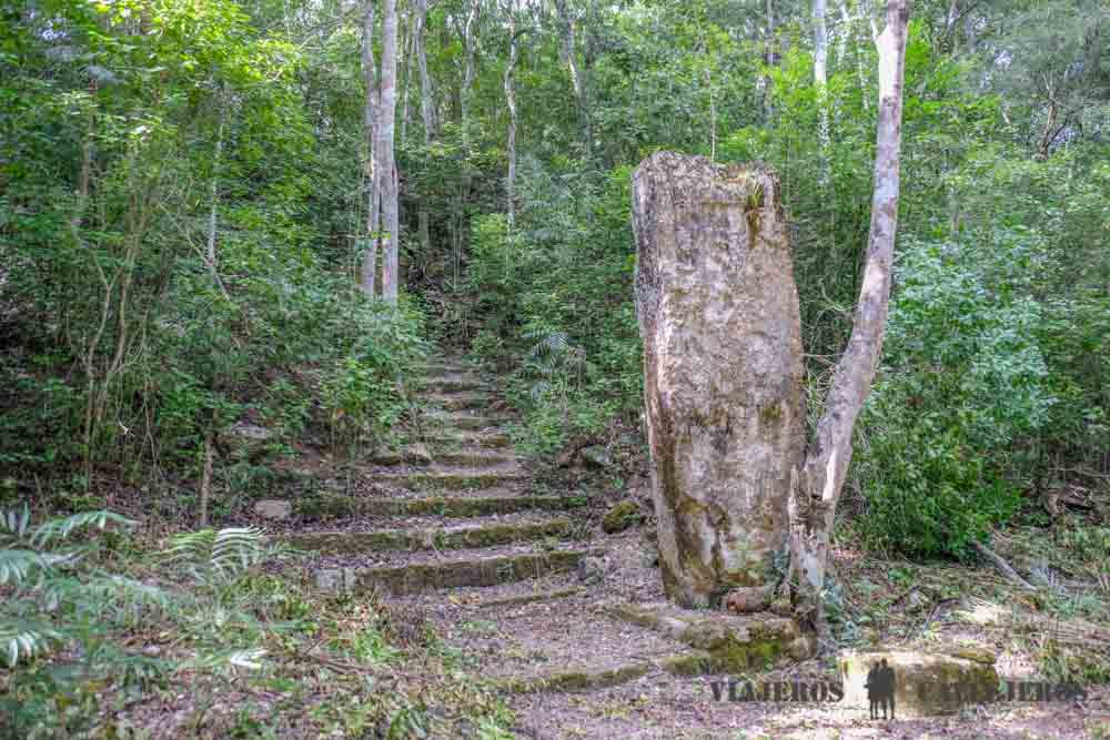 Estelas en Calakmul