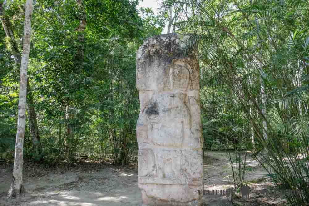 Estelas en Calakmul