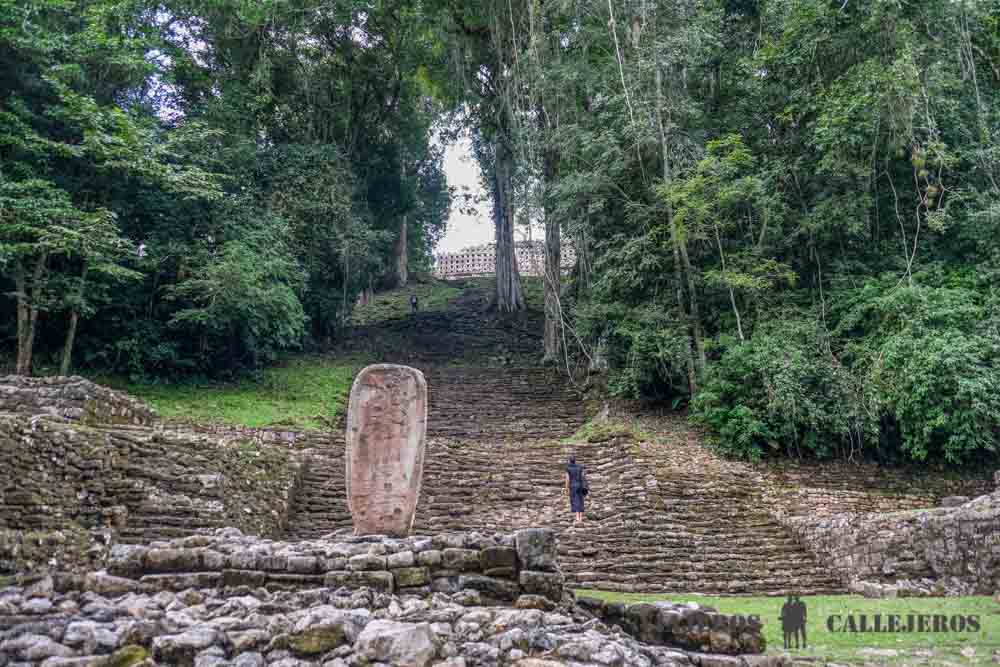 Tour a Yaxchilán y Bonampak