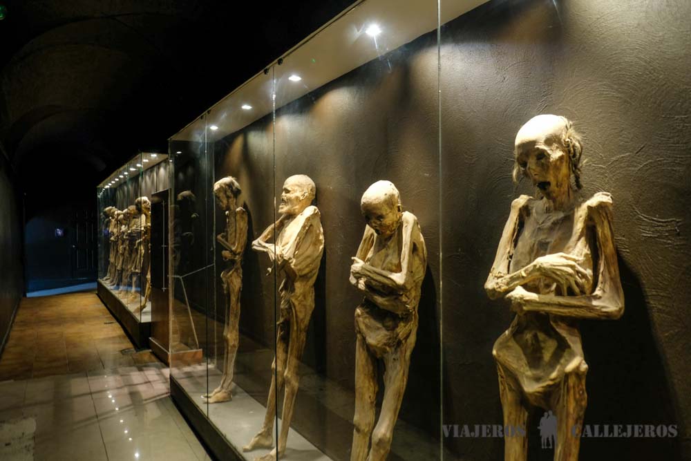 Museo de las Momias