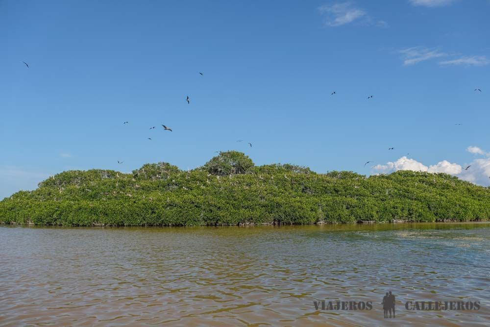 Isla de los Pájaros