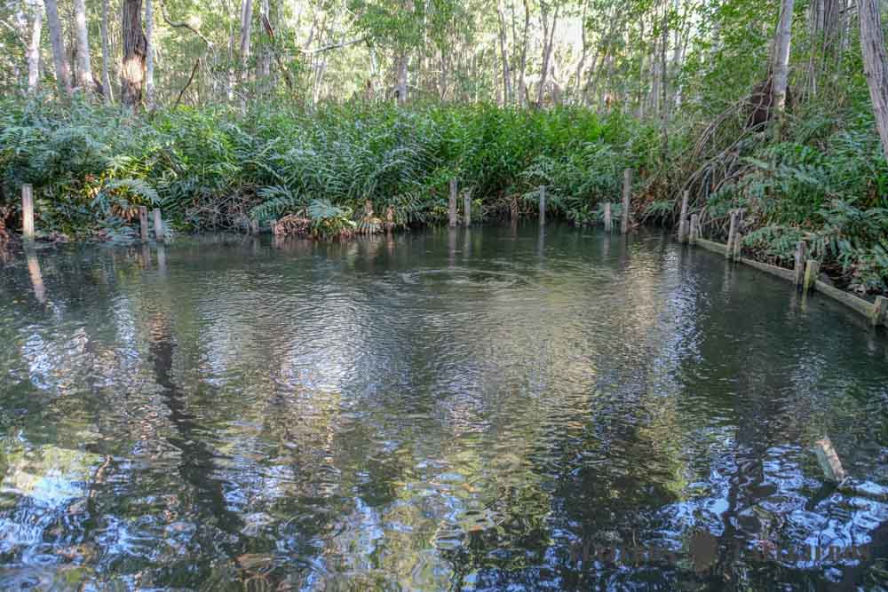Ojo del Agua